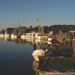Calabash – NC Great Seafood at Affordable Prices